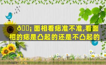 🐡 面相看痣准不准,看面相的痣是凸起的还是不凸起的
